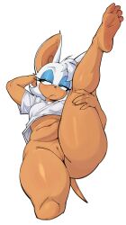 rouge the bat from sega by chantiyii