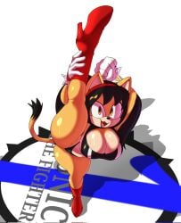 honey the cat from sega by 1lastshadow1
