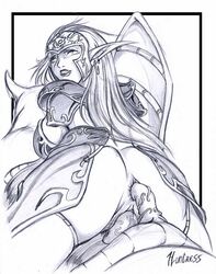 2007 alliance_(warcraft) blackchain_(rennes) blizzard_entertainment dildo female hunter_(warcraft) night_elf night_elf_huntress nightsaber source_request tagme warcraft warcraft_3 world_of_warcraft