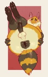 2_toes antennae_(anatomy) anthro anus arthropod ass balls bee big_anus blush bodily_fluids deeroni deformed_anus feet femboy gay gay_anal gay_male gay_sex genital_fluids genitals hi_res homosexual homosexual_male homosexual_sex honey_bee humanoid_genitalia humanoid_penis hymenopteran insects legs_up looking_at_viewer male male/male male_only male_penetrated male_penetrating male_penetrating_male neck_tuft penis perineum precum presenting presenting_anus presenting_hindquarters signature simple_background smile solo spread_anus spread_butt spreading toes tuft