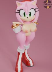 amy rose from sega by jakkeynsfw