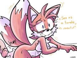 tails the fox from sega by sky beatz 12