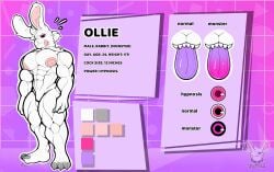 1boy abs absurd_res absurd_resolution absurdres athletic athletic_anthro athletic_male big_areola big_areolae big_areolas big_pecs big_pectorals bunny bunny_boy color color_palette digital_drawing_(artwork) digital_media_(artwork) furry hi_res high_resolution highres long_ears long_tongue moobs muscles muscular muscular_anthro muscular_male ollie_(yamwamm) rabbit rabbit_boy reference_sheet sharp_fingernails sharp_toenails standing tagme tongue tongue_out yamwamm