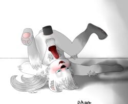 alexy_lobito anthro balls blush canid canine canine_penis domestic_dog furry furry_only gay los_compas male male_only pawpads penis penis_in_ass smile white_fur wolf wolfdog youtube_hispanic