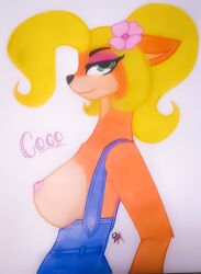 breasts coco_bandicoot crash_(series) crash_bandicoot_(series) female roxasnuggets13 video_game_character