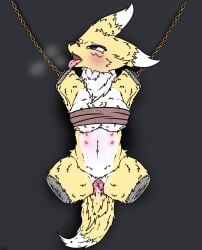 4_missing_limbs after_sex amputee animal_genitalia animal_pussy anthro bandai_namco blue_eyes blush bodily_fluids bondage bondage bound breasts canine_genitalia canine_pussy chained chains chest_binder clothing colored cuff_(restraint) cum cum_in_pussy cum_inside digimon digimon_(species) digital_drawing_(artwork) digital_media_(artwork) disability female fur genital_fluids genitals hi_res keiikaii leg_cuff nipples open_mouth pussy quadruple_amputee renamon restraints signature simple_background solo stump_cap submissive tail tongue underwear white_body white_fur yellow_body yellow_fur