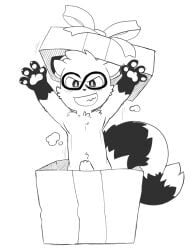 8chan anthro blush box container fur genitals gift_box hi_res male mammal monochrome nate_(8chan) oob penis procyonid raccoon smile solo