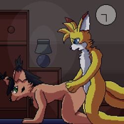 1:1 2_tails animated anthro archie_comics black_hair blue_eyes blush bodily_fluids brown_body canid canine cum cum_inside duo felid feline female fox fur genital_fluids genitals green_eyes hair hi_res lawealewd lynx male mammal miles_prower multi_tail nicole_the_lynx nude penis scut_tail sega sex short_playtime short_tail sonic_(series) sonic_the_hedgehog_(archie) sonic_the_hedgehog_(comics) sonic_the_hedgehog_(series) stuck stuck_genitals stuck_penis tail tails tails_the_fox tan_body tan_fur yellow_body yellow_fur