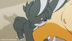 anthro anthro_on_anthro anthro_penetrated anthro_penetrating anthro_penetrating_anthro areola audible_ejaculation balls big_penis biped bouncing_balls canid canine fennec_fox fox jay-r kuwakinks_va leo_(jay-r) mammal page_(jay-r) reupload sirsiarmageddon sound_edit tagme true_fox video