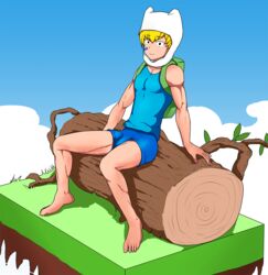 adventure_time backpack blonde bulge cap clothes finn_the_human green hair log male male_focus male_only mlm4anemone muscle muscles muscular muscular_male outline pecs shorts simple_background sitting smile solo vpl