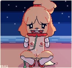 animal_crossing animated beach furry isabelle_(animal_crossing) leash night panting pixel_art presenting_pussy small_breasts squatting tail_wagging