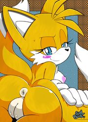 anus canine coolblue exposed_torso female fox fur handwear looking_at_viewer looking_back mammal nipples nude presenting puffy_anus pussy rule_63 simple_background sonic_(series) tails tailsko