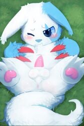 1boy alternate_color anus blue_eyes blue_fur blush erection fur furry kake0078 male male_only nintendo one_eye_closed pawpads penis pokemon pokemon_(species) pokemon_rse solo tapering_penis tears testicles video_games white_fur young zangoose