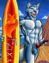 anthro balls beach canine erection foxxfire holding_penis husky knot male male_only mammal nude outside penis seaside solo standing surfboard