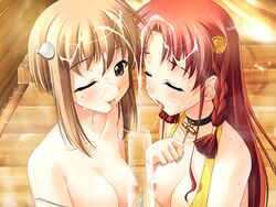 2girls asanagi_mio asanagi_no_aquanauts bikini breasts brown_hair closed_eyes collaborative_fellatio cum facial fellatio invisible_penis multiple_fellatio multiple_girls nipples one_eye_closed oral red_hair saliva saliva_trail swimsuit takanashi_miyuki teamwork tongue tongue_out