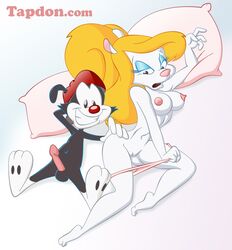 animaniacs anthro blonde_hair breasts clothing duo female grin hair hand_on_ass hat male mammal minerva_mink mink mustelid nipples nude open_mouth panties penis pillow pussy smile underwear wakko_warner warner_brothers