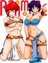 2girls akane_tendo ale-mangekyo belly_dancer belly_dancer_outfit blue_hair braid clothing dancer dancer_outfit female female_only harem_girl harem_outfit hourglass_figure huge_breasts large_breasts loincloth long_hair multiple_girls ranma-chan ranma_1/2 ranma_saotome red_hair rule_63 short_hair submissive_female voluptuous