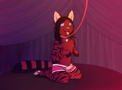 animated bell claws clothing collar feline hypnosis kazeesnep_(artist) leash male_only mammal mind_control open_mouth pawpads paws penis stripes tongue tongue_out twitching underwear