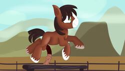 equine friendship_is_magic jbond male_only mammal my_little_pony penis troubleshoes_(mlp)