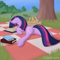 ambiguous_gender anatomically_correct anatomically_correct_anus anatomically_correct_genitalia anatomically_correct_vulva animal_genitalia animal_vulva anus basket book callichrome container equid equine equine_anus equine_genitalia equine_vulva female female_focus feral fluttershy_(mlp) friendship_is_magic genitals group hasbro hi_res horn mammal my_little_pony mythological_creature mythological_equine mythology outside picnic picnic_basket picnic_blanket puffy_anus rainbow_dash_(mlp) sleeping solo_focus teats twilight_sparkle_(mlp) unicorn vulva