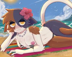 meow skulls (fortnite) from epic games by kobita09