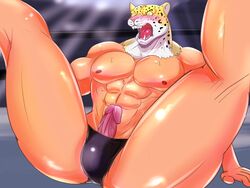 abs animal_head areola ass biceps blush bulge clothed clothing erection feline fighting_ring headgear human jaguar king_(tekken) male male_only mammal manly mask muscles nipples open_mouth pecs penis raised_leg sharp_teeth sitting solo speedo spread_legs spreading swimsuit teeth tekken tongue vein veiny_penis video_games white6000