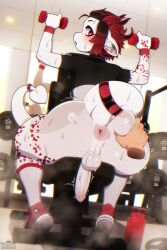 absurd_res anthro anus ass balls big_butt blush bodily_fluids bovid caprine clothed clothing drunkrussianman erection exercise footwear genital_fluids genitals goat gym hair half_naked hi_res horn legwear looking_back male mammal penis solo sweat tail thick_thighs topwear white_body workout