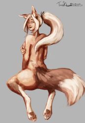 Border Collie Rule 34 Image