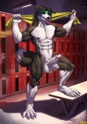 1boy anthro border_collie canid canine canis collie domestic_dog erection genitals herding_dog humanoid_genitalia humanoid_penis locker_room looking_at_viewer male male_only mammal mason_(trivolmckenley) muscular muscular_male pastoral_dog penis raythefox sheepdog solo