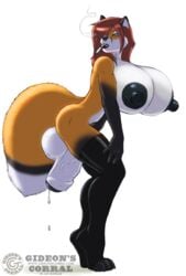 1futa anthro balls big_breasts breasts canine cigarette clothing cox edit erection fox futa_only futanari gideon herm huge_breasts humanoid_penis hyper hyper_breasts hyper_penis intersex legwear mammal penis precum presenting solo stockings