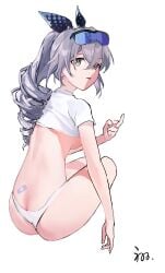silver wolf (honkai: star rail) from honkai (series)
