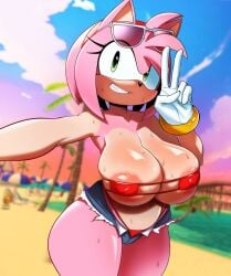 amy rose from sega by god1annie