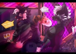 absurd_res alcohol anthro anthro_on_anthro anthro_penetrated anthro_penetrating anthro_penetrating_anthro beverage bigcat bodily_fluids butt cum cum_in_vagina cum_inside doggystyle duo facial_piercing felid female female/female from_behind_position genital_fluids genitals hi_res hybrid knot knotted_penis ladyshajoy mammal nose_piercing nose_ring pantherine penetration penis piercing ring_piercing sex shape_shifter shenzi tiger