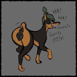 absurd_res anal_wink animal_genitalia animal_vulva anus butt canid canine canine_genitalia canine_vulva canis clothing dobermann domestic_dog female female_feral feral genitals headgear headwear hi_res mammal pinscher presenting presenting_hindquarters serpenteats solo vulva