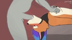 16:9 animated anthro anthro_penetrated areola blush bodily_fluids breast_play breast_squish breasts canid canine deadlysynder duo face_fucking faceless_character faceless_male female female_penetrated fox genital_fluids genitals hair half-closed_eyes head_back hi_res humanoid humanoid_genitalia humanoid_penis irrumatio loop lying male male/female male_penetrating male_penetrating_female mammal narrowed_eyes neck_bulge nude on_back oral oral_penetration penetration penile penis penis_in_mouth pink_eyes saliva sex simple_background squish supine_blowjob tongue tongue_out widescreen