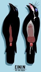 absurd_res ambiguous_gender avian beak bird blue_eyes bodily_fluids cloacal cloacal_penetration corvid corvus_(genus) crow cum cum_from_mouth cum_in_mouth cum_inside cum_through duo einin excessive_cum excessive_genital_fluids feathers feral feral_penetrated genital_fluids genital_growth growth hi_res knotting male male/ambiguous male_penetrating open_mouth oscine passerine penetration penis_growth rictal_bristles sex shocked tears