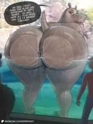 1girls absurd_res against_glass anthro anthrofied ass ass_focus back_view backboob bent_over big_ass big_breasts black_sclera bottom_heavy bottomless breasts breasts_bigger_than_head brown_body brown_fur brown_skin bubble_butt busty common_hippopotamus curvaceous curvy curvy_female curvy_figure dialogue digital_media_(artwork) dreamworks english_text eyebrows eyelashes fat_ass female female_focus female_only fur furry glistening glistening_body gloria_the_hippopotamus heart-shaped_pupils hi_res hippopotamid hourglass_figure huge_ass looking_at_viewer looking_back madagascar_(series) mammal motion_lines plump slightly_chubby solo sweat sweatdrop sweating sweaty text thick_thighs twitter_link voluptuous voluptuous_female whisperfoot wide_hips