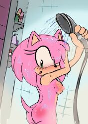 amy rose from sega by cintraarts