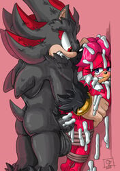 anthro ass balls big_balls big_penis cum duo echidna erection female forced hedgehog huge_balls huge_cock lien-da male mammal monotreme nude omegazuel penetration penis rape sex shadow_the_hedgehog shadow_the_werehog sonic_(series) werehog