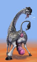 amethystlongcat animal_genitalia anus ass balls big_balls big_penis cum feral giraffe huge_balls hyper invalid_tag male mammal nude open_mouth penis puffy_anus simple_background solo tongue