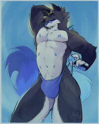 6_nipples anthro balls balls_outline big_bulge black_body black_fur blue_background blue_body blue_fur bulge canid canine clothed clothing detailed_bulge fox fur genital_outline grey_body grey_fur hand_behind_head hi_res male mammal multi_nipple muscular muscular_anthro muscular_male nipples noirenard presenting renard_(noirenard) sheath_outline simple_background solo thong thong_only topless underwear underwear_only white_body white_fur