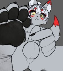 4_toes absurd_res anthro balls claws feet felid feline foot_fetish foot_focus genitals hi_res itameowmeow looking_at_viewer low-angle_view male mammal masturbation pawpads paws penis soles solo toe_claws toes underfoot