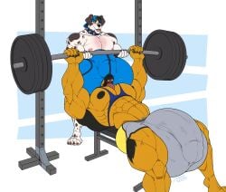 bench_press bodybuilder furry hyper hyper_balls hyper_cock hyper_genitalia hyper_penis hyper_testicles kamui_behemoth male male_only muscles muscular muscular_arms muscular_male muscular_thighs workout