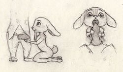 animal_genitalia animal_penis anthro black_and_white blush canine canine_penis close-up clothing disney fellatio female flat_chest fox judy_hopps kneeling lagomorph male mammal mister nick_wilde oral paws penis rabbit sex size_difference straight teeth traditional_media_(artwork) zootopia