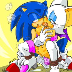 anthro bat blush bound breasts dildo exposed_torso female footwear front_view fur handwear hedgehog insertion interspecies male manaita nipples nude pussy_juice rouge_the_bat saliva sega sonic_(series) sonic_the_hedgehog squatting straight straight_hair tagme white_fur