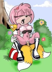 amy_rose anthro areola boots bra bra_slip breasts clothes color day exposed_breasts female footwear front_view fur furry_tail hair hedgehog male mammal multi_tail nipples outdoors penis pink_hair pussy reverse_suspended_congress sega sex sonic_(series) straight straight_hair tail tails uncensored underwear upright_straddle