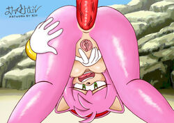 amy_rose anal anal_insertion anal_penetration anal_sex anthro beach bent_over couple day duo echidna female fur green_eyes hairband hedgehog interspecies kio knuckles_the_echidna looking_back looking_between_legs male mammal monotreme nude outdoors outside penis pink_fur pink_spines presenting_pussy pussy sega sex slightly_chubby solo_focus sonic_(series) spreading_pussy straight straight_hair video_games