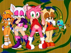 amy_rose anthro artist_request bat casual_nudity chao_(sonic) cheese_the_chao clothes color cream_the_rabbit echidna female female_only fur furry furry_only hedgehog interspecies mammal monotreme multiple_females public_nudity rabbit rouge_the_bat rouge_the_bat_(heroes) sega shirt_lift short_hair sonic_(series) sonic_heroes standing straight_hair tikal_the_echidna uncensored