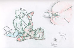 Sonic (Series) Rule 34 Image