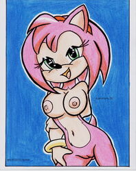 2002 amy_rose beige_skin color female female_only fur furry hedgehog juanomorfo pink_fur sega skin solo sonic_(series) straight_hair